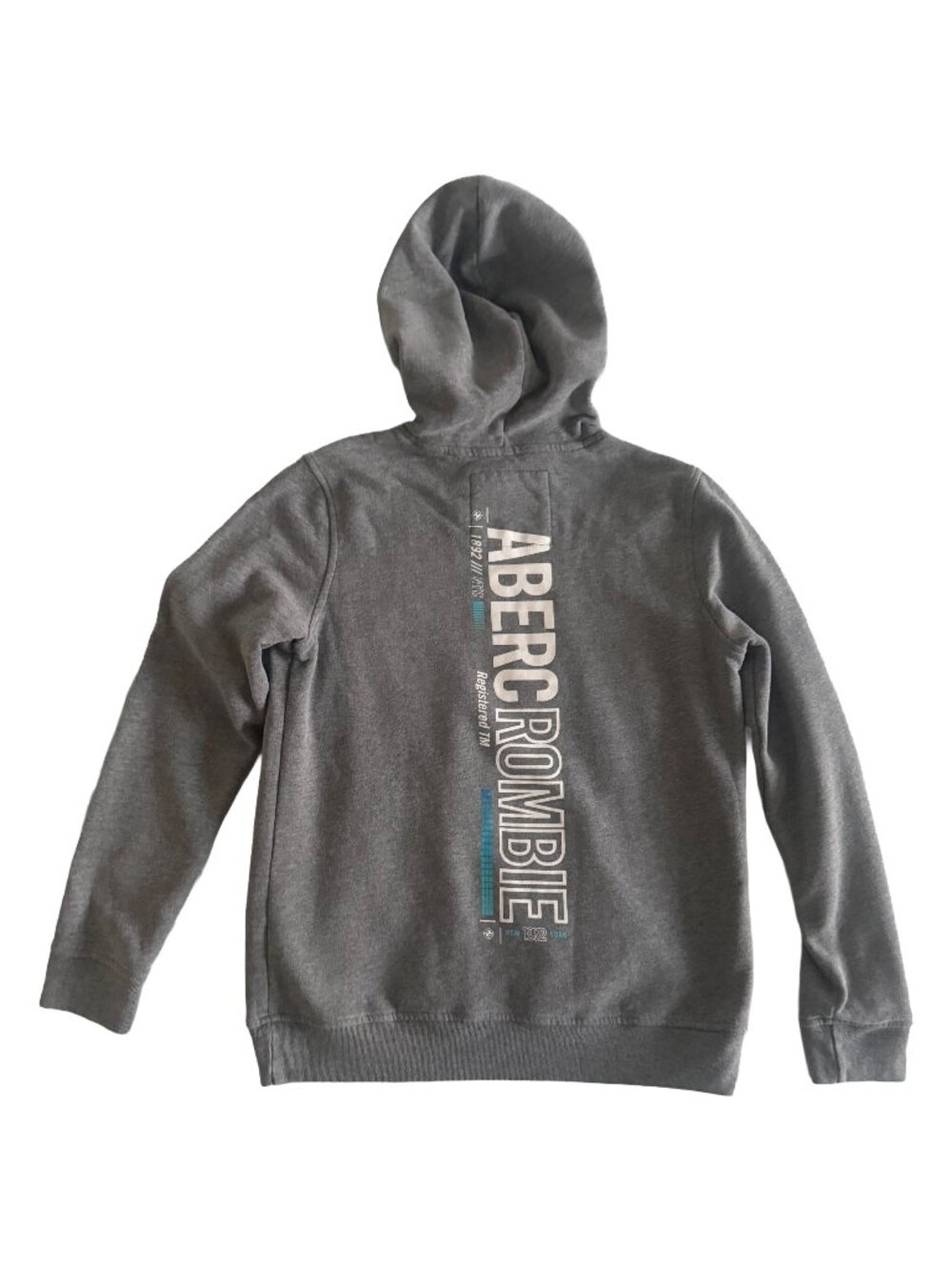 Abercrombie Kids Gray Logo Hoodie Sweatshirt Size 13/14 - Picture 2 of 5